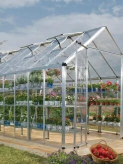 Canopia® By Palram Harmony™ Snap & Grow Greenhouse, 8' -Garden Supply Store 8591043 02V tif