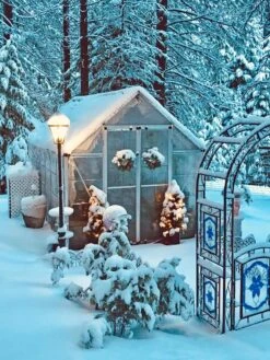 Canopia® By Palram Harmony™ Snap & Grow Greenhouse, 8' -Garden Supply Store 8591048 06V jpg