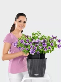 Lechuza® Nido Cottage Wicker Hanging Planter 8 Lechuza® Nido Cottage Wicker Hanging Planter -Garden Supply Store 8591154GT 006V tif