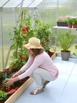 Canopia® By Palram Essence™ Greenhouse, 8' X 12' 18 Canopia® By Palram Essence™ Greenhouse, 8' X 12' -Garden Supply Store 8591356 04V tif