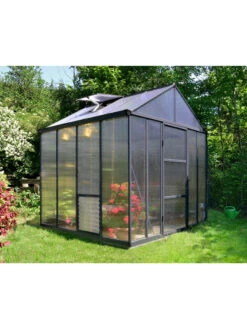 Canopia® By Palram Glory™ Greenhouse, 8' -Garden Supply Store 8591547 01v