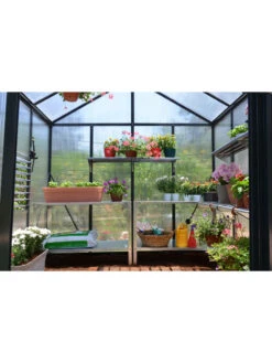 Canopia® By Palram Glory™ Greenhouse, 8' -Garden Supply Store 8591547 02v