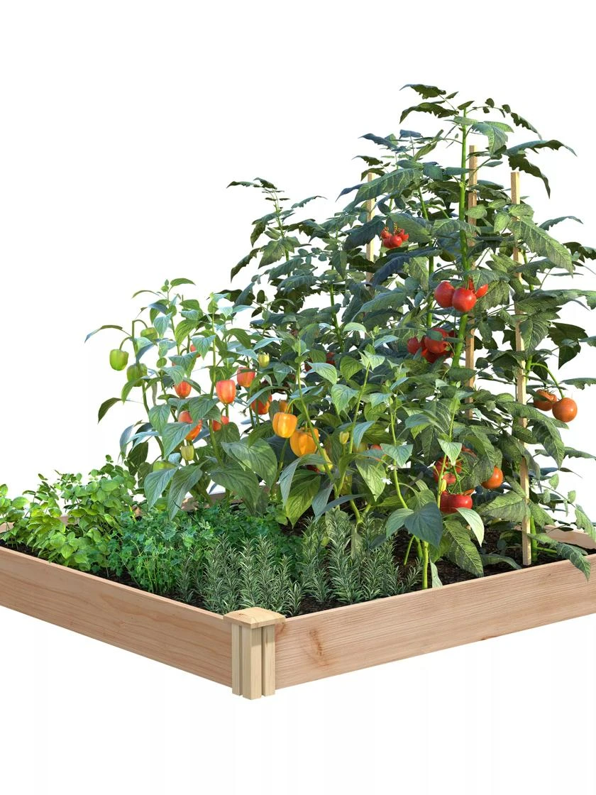 Cedar Raised Garden Bed, 4' X 4' X 6" 3 Cedar Raised Garden Bed, 4' X 4' X 6"