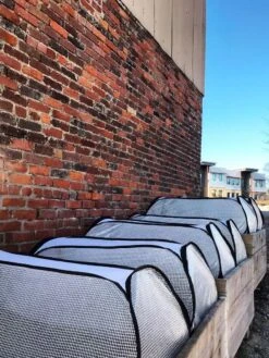 Row Shelter Accelerator -Garden Supply Store 8591990 01IN tif