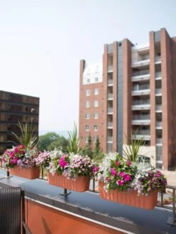 Adjustable Self-Watering Railing Planter, 24" 12 Adjustable Self-Watering Railing Planter, 24" -Garden Supply Store 8592173TC 2383 tif