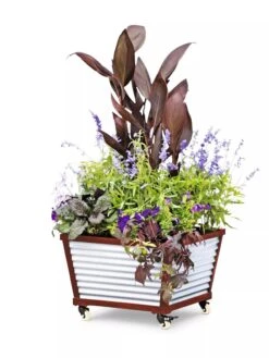 Galvanized Self-Watering Planters -Garden Supply Store 8592176 5067 tif