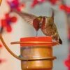 Copper Hummingbird Feeder -Garden Supply Store 8593301 001V tif