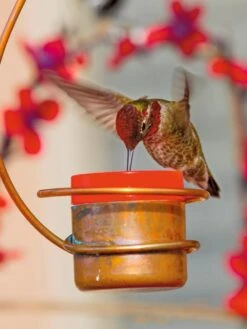 Garden Supply Store 25 Copper Hummingbird Feeder