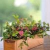 Tall Rectangular Copper Plant Tray, 18" X 5" X 4" 1 Tall Rectangular Copper Plant Tray, 18" X 5" X 4" -Garden Supply Store 8593534 4617 tif