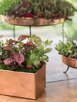 Tall Rectangular Copper Plant Tray, 18" X 5" X 4" -Garden Supply Store 8593564 4430 tif