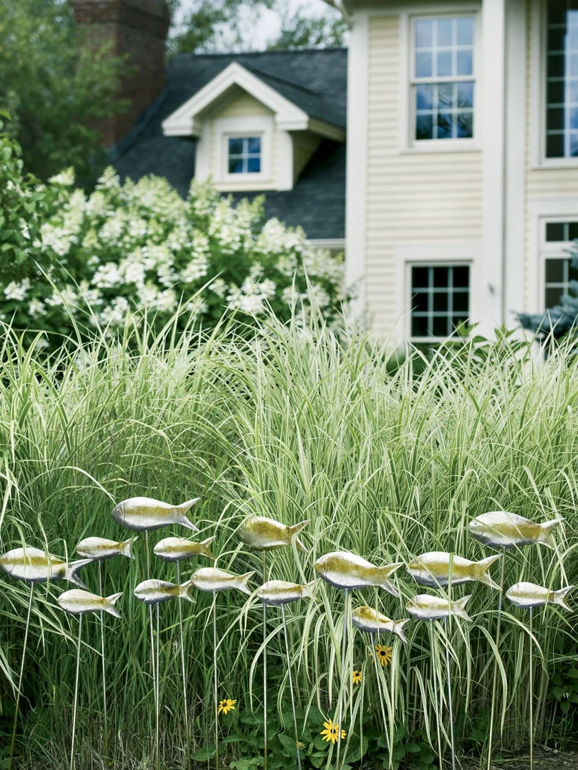 Fish Out Of Water Garden Stakes, Set Of 5 3 Fish Out Of Water Garden Stakes, Set Of 5