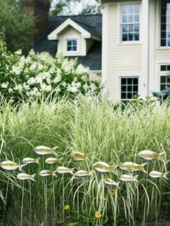 Fish Out Of Water Garden Stakes, Set Of 5 14 Fish Out Of Water Garden Stakes, Set Of 5 -Garden Supply Store 8593672 9124 tif