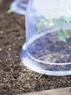 Medium Garden Cloches, Set Of 6 -Garden Supply Store 8593985 9441 tif