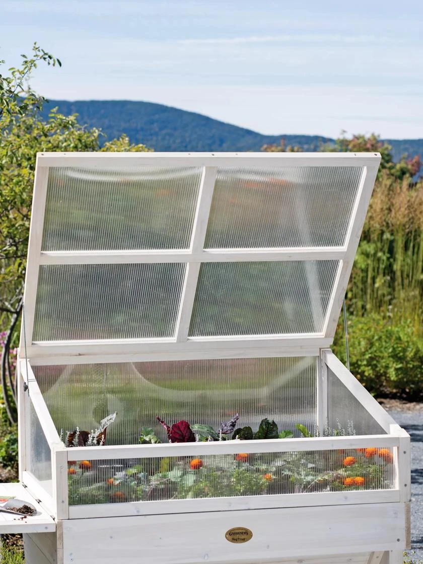 Cold Frame For Compact VegTrug® 4 Cold Frame For Compact VegTrug® - Image 2