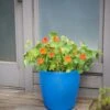 Viva Round Self-Watering Rolling Planter, 17.25” Diameter -Garden Supply Store 8594077 0087 tif