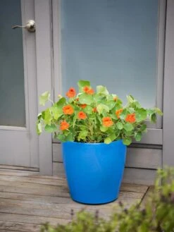 Viva Round Self-Watering Rolling Planter, 17.25ā Diameter