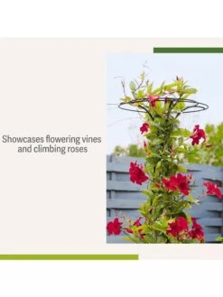 Essex Tuteur, 63" 12 Essex Tuteur, 63" -Garden Supply Store 8594162 4