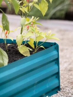 Demeter Corrugated Metal Raised Bed, 34" X 68" 15 Demeter Corrugated Metal Raised Bed, 34" X 68" -Garden Supply Store 8594183 470 tif