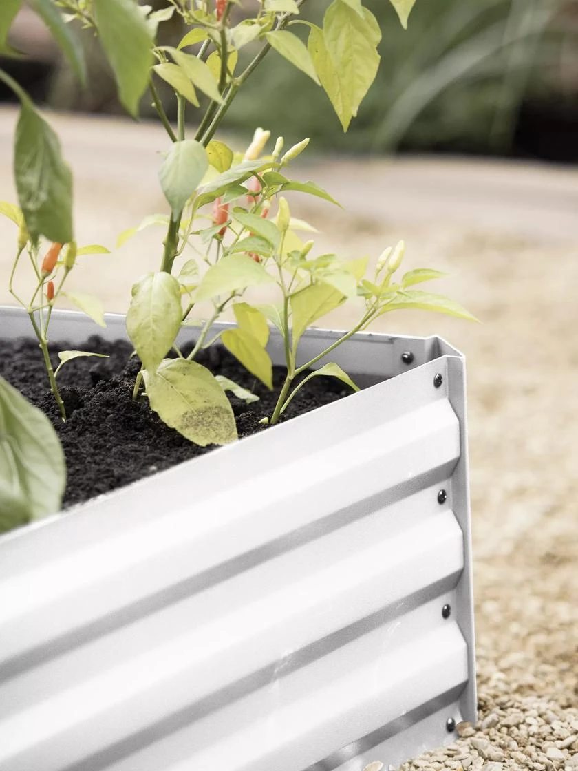 Demeter Corrugated Metal Raised Bed, 34" X 68" 7 Demeter Corrugated Metal Raised Bed, 34" X 68" - Image 5