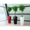 Lechuza® Rondo Self-Watering Planters 1 Lechuza® Rondo Self-Watering Planters -Garden Supply Store 8594586 01V tif
