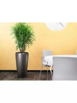 Lechuza® Rondo Self-Watering Planters -Garden Supply Store 8594586 02V tif