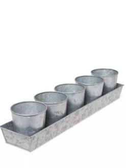 Galvanized Herb Planters With Rectangular Tray 9 Galvanized Herb Planters With Rectangular Tray -Garden Supply Store 8595903 3924 tif