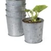 Galvanized Planting Cups, Set Of 5 2 Galvanized Planting Cups, Set Of 5 -Garden Supply Store 8596104 9899 tif