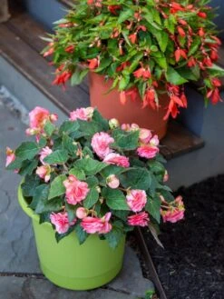 Eezy Gro Self-Watering Planters 11 Eezy Gro Self-Watering Planters -Garden Supply Store 8596427 0034 tif