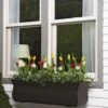 Valencia Window Box, 3' -Garden Supply Store 8596436 7496 tif