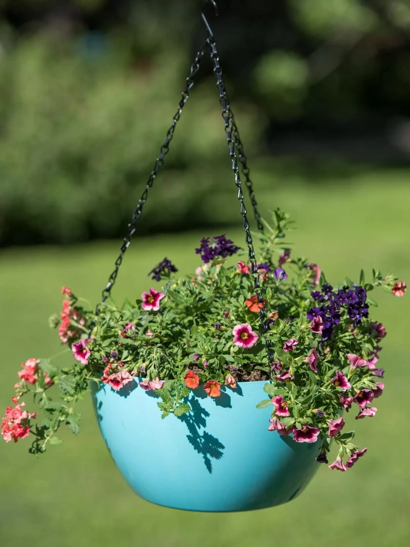 Viva Self-Watering Hanging Basket, 14" Diameter 6 Viva Self-Watering Hanging Basket, 14" Diameter - Image 4