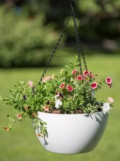 Viva Self-Watering Hanging Basket, 14" Diameter 9 Viva Self-Watering Hanging Basket, 14" Diameter -Garden Supply Store 8596442 0864 tif