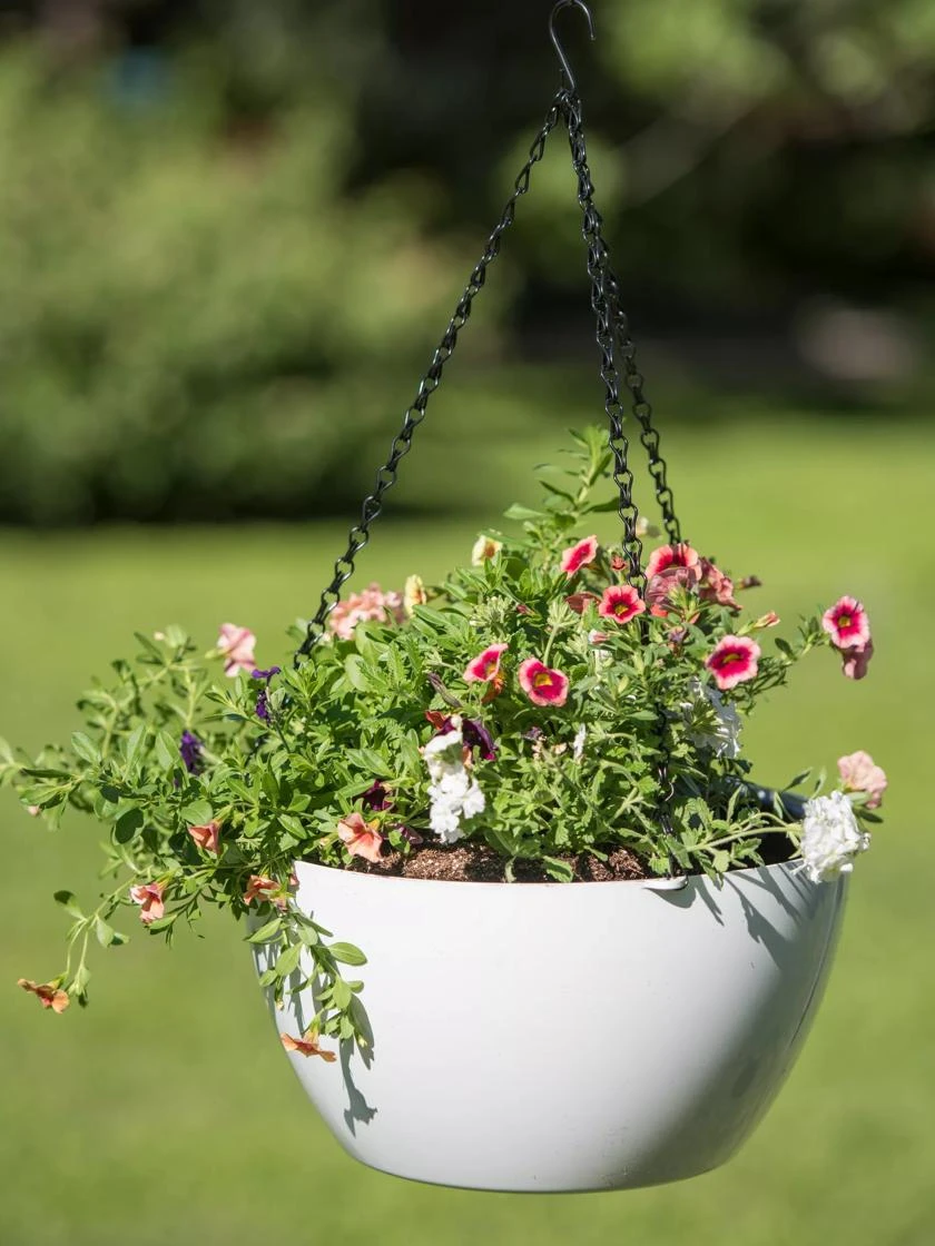 Viva Self-Watering Hanging Basket, 14" Diameter 5 Viva Self-Watering Hanging Basket, 14" Diameter - Image 3