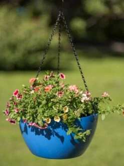 Viva Self-Watering Hanging Basket, 14" Diameter 11 Viva Self-Watering Hanging Basket, 14" Diameter -Garden Supply Store 8596442 0876 tif