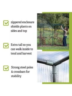 Crop Cage, 4' X 12' -Garden Supply Store 8596540 4