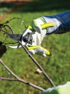 Gardener's Pro Pruner #2 9 Gardener's Pro Pruner #2 -Garden Supply Store 8596605 032 tif