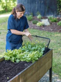 Pop-Up Bird Netting 7 Pop-Up Bird Netting -Garden Supply Store 8596764 PopUpBirdNetting gif