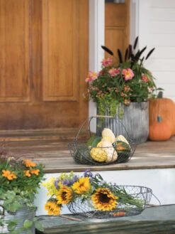 Galvanized Rim Planters 11 Galvanized Rim Planters -Garden Supply Store 8597379 1625 tif