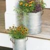 Galvanized Rim Planters -Garden Supply Store 8597442 1700 tif