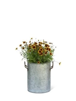 Galvanized Rim Planters 12 Galvanized Rim Planters -Garden Supply Store 8597442 1705 tif
