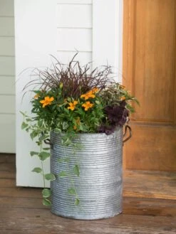 Galvanized Rim Planters 10 Galvanized Rim Planters -Garden Supply Store 8597443 1708 tif