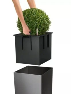 Lechuza® Cube Premium Planters 10 Lechuza® Cube Premium Planters -Garden Supply Store 8597506 04V tif
