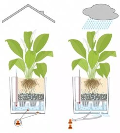 Lechuza® Cube Premium Planters 11 Lechuza® Cube Premium Planters -Garden Supply Store 8597506 05V tif
