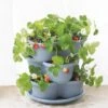 Stacking Strawberry Pot 1 Stacking Strawberry Pot -Garden Supply Store 8597996 9004 tif