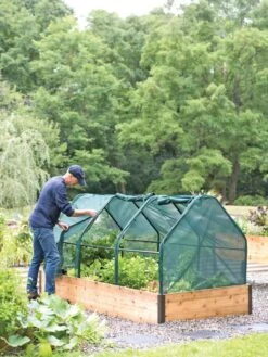 3-Season Plant Protection Tent, 4' X 8' -Garden Supply Store 8598282 0101 tif