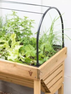 VegTrug® Mini Wallhugger Planter With Cover 10 VegTrug® Mini Wallhugger Planter With Cover -Garden Supply Store 8598339 4004 tif