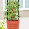 Gardener’s Victory Self-Watering Planter With Support System 2 Gardener’s Victory Self-Watering Planter With Support System -Garden Supply Store 8598384 6012 tif
