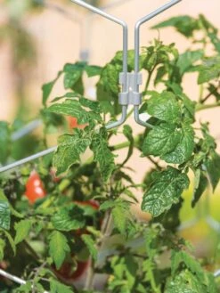 Gardener's Vertex Lifetime Tomato Cage 10 Gardener's Vertex Lifetime Tomato Cage -Garden Supply Store 8598426 0011 tif