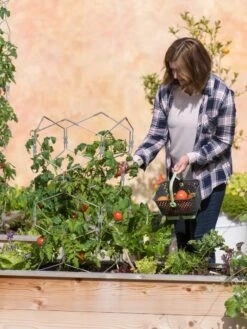 Gardener's Vertex Lifetime Tomato Cage 11 Gardener's Vertex Lifetime Tomato Cage -Garden Supply Store 8598426 0026 tif