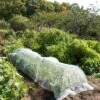 Insect Protection Tunnel -Garden Supply Store 8598536 8225 tif