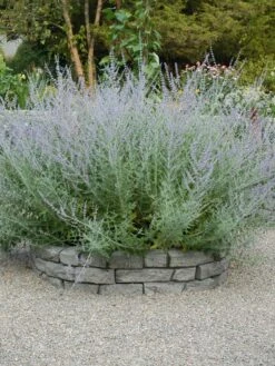 Rock Lock Interlocking Garden System, Curved Sets -Garden Supply Store 8598737 04V tif